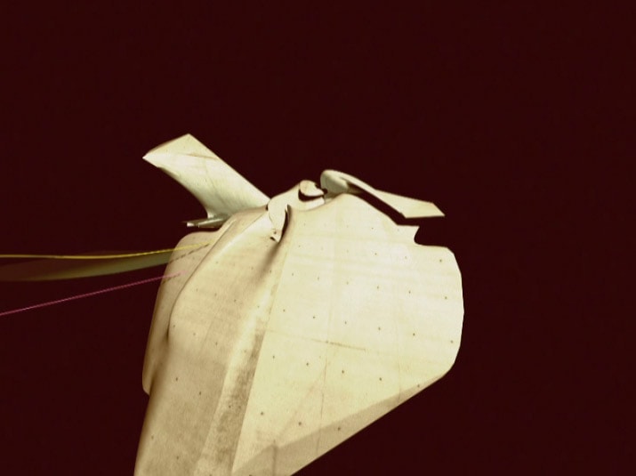 capturesfen_0011_layer-4