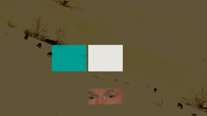 fitc_01