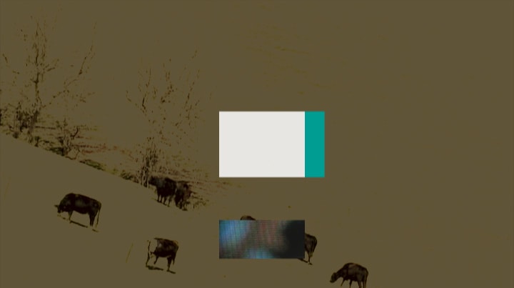 fitc_02