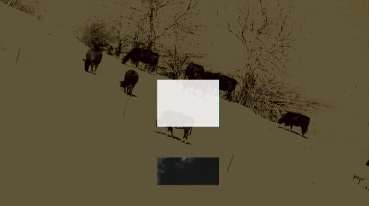 fitc_03